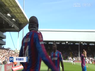 足总杯四分之一决赛 富勒姆VS水晶宫 20250329