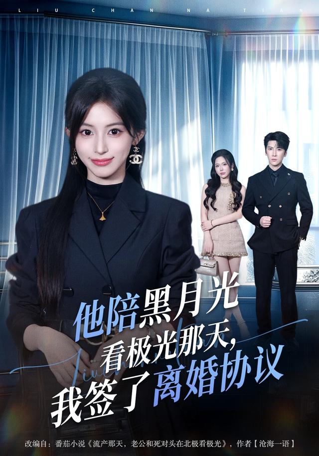 他陪黑月光看极光那天,我签了离婚协议