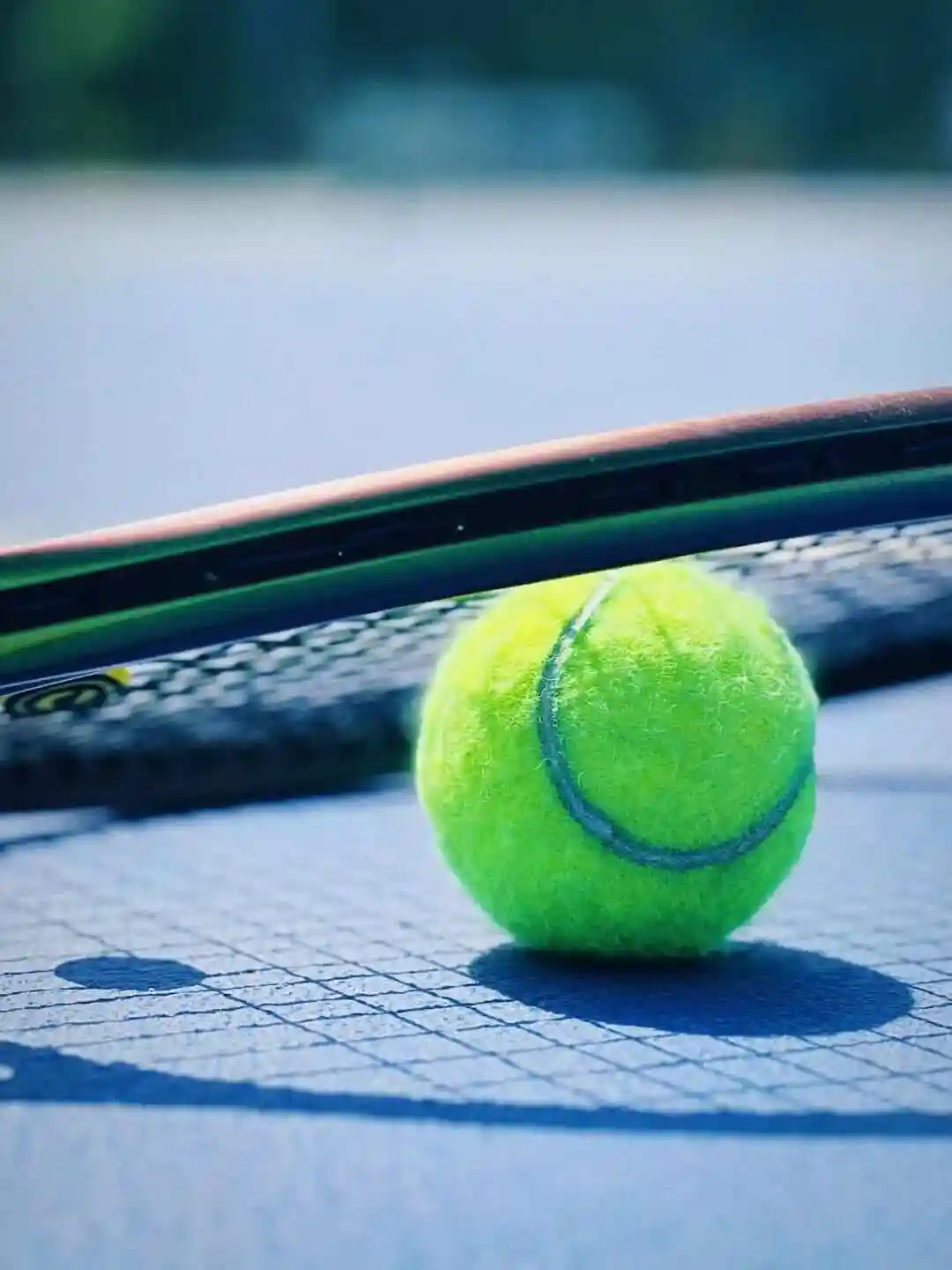 WTA迪拜站第五日：鲁季奇VS斯维托丽娜