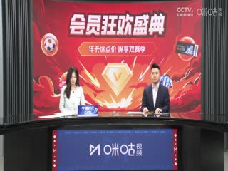 德甲联赛 勒沃库森VS柏林联 20250412