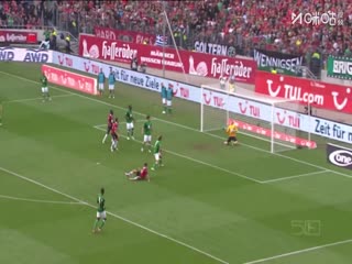 德甲联赛 科隆VS法兰克福 20251123